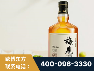 铜仁-梅见青梅酒